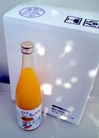 ���R�h���[���t�@�[���݂���P�O�O���W���[�X